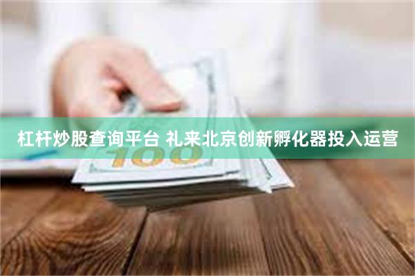 杠杆炒股查询平台 礼来北京创新孵化器投入运营