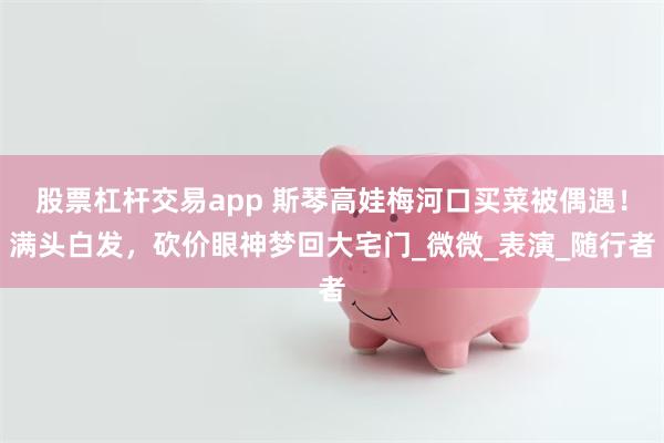 股票杠杆交易app 斯琴高娃梅河口买菜被偶遇！满头白发，砍价眼神梦回大宅门_微微_表演_随行者